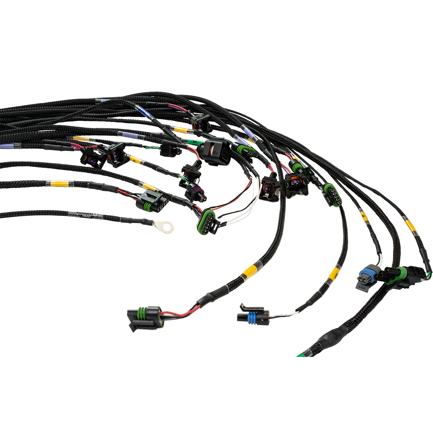FT450/FT550 6 Cylinder Universal A Harness - Image 2